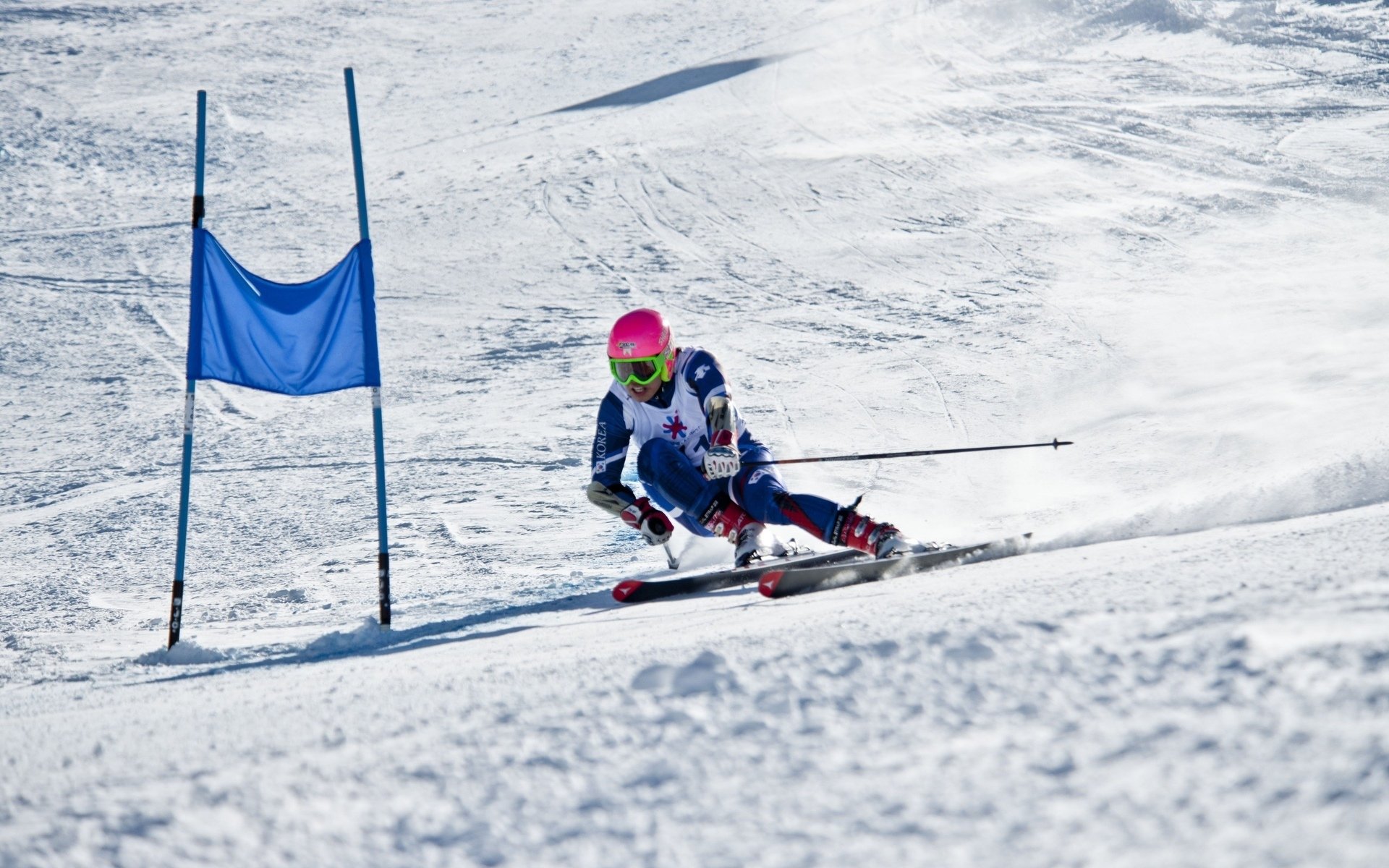 世界体操单项赛赛场志愿者奖励机制第三轮发放，世界体操技巧冠军